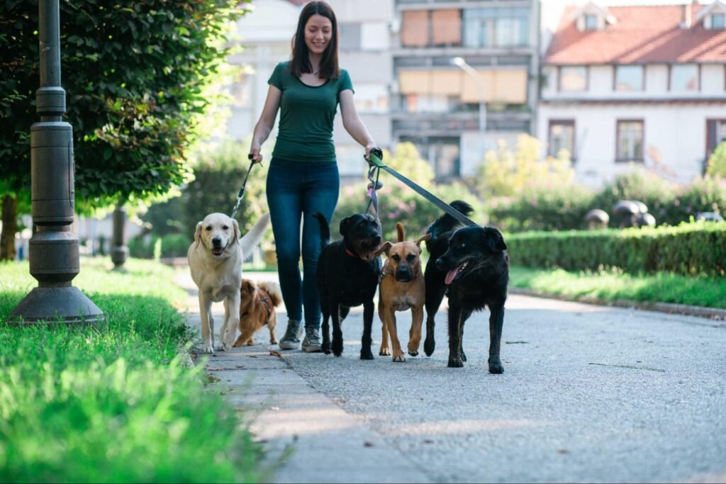 Dog walking and pet-sitting