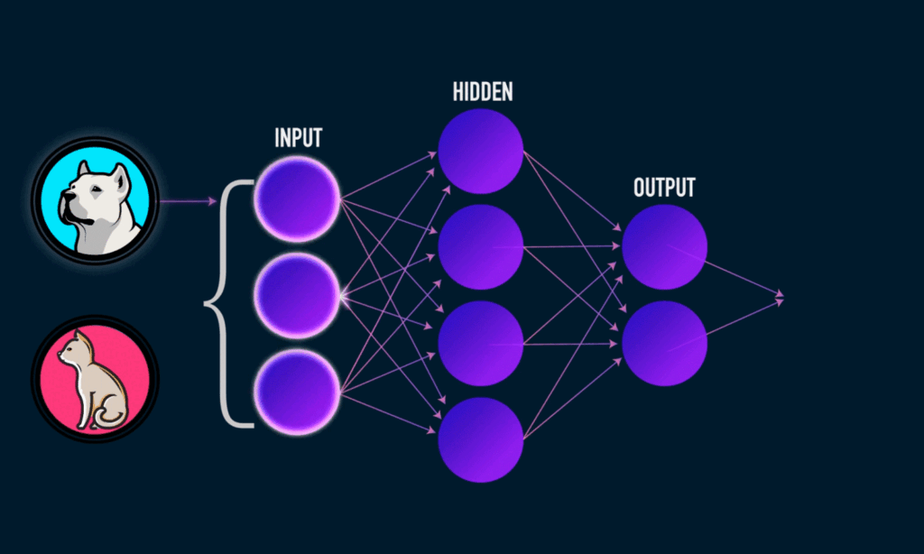 Image Classification in CNN