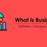 What is Business